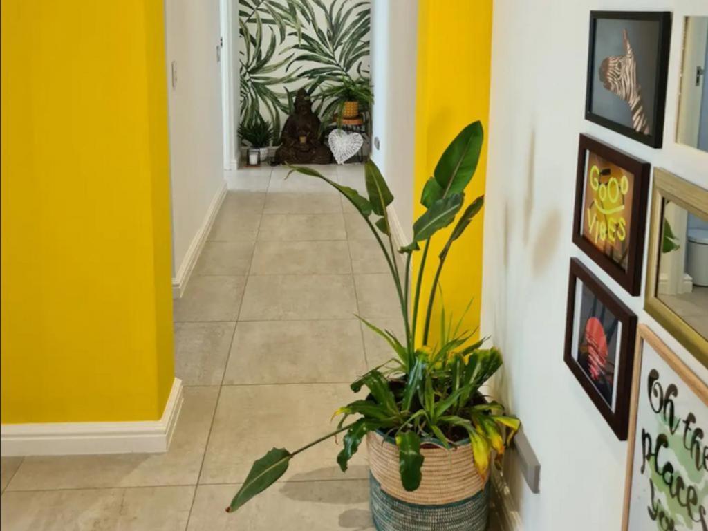 فندق The Little Big Green House مويزنبرغ الغرفة الصورة