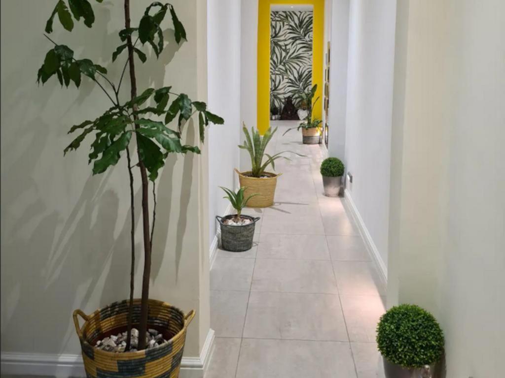 فندق The Little Big Green House مويزنبرغ الغرفة الصورة